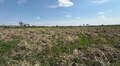 П’ять ділянок для розвитку бізнесу: у Львові відбудеться аукціон з продажу землі