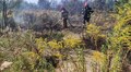 Синоптики прогнозують надзвичайну пожежну небезпеку