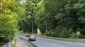 Для укріплення схилу на вул. Личаківській видалять частину дерев: більшість з них аварійні та самосів