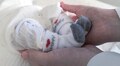 Допомагають стати батьками: львівська лікарня запрошує на консультації до лікарів-репродуктологів