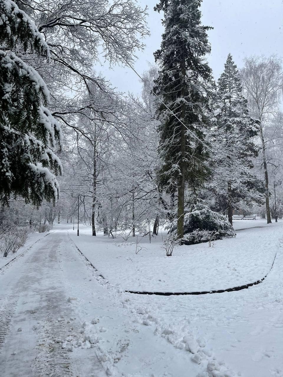 фото з ФБ Стрийського парку
