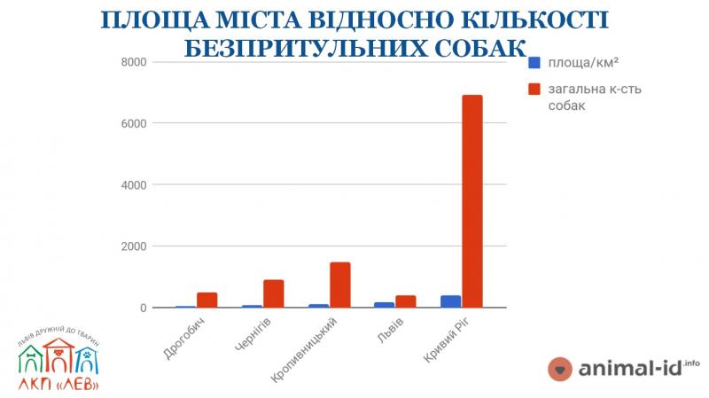 Фото 4: На початок серпня у Львові виявили 412 безпритульних собак: результати загальноміського підрахунку