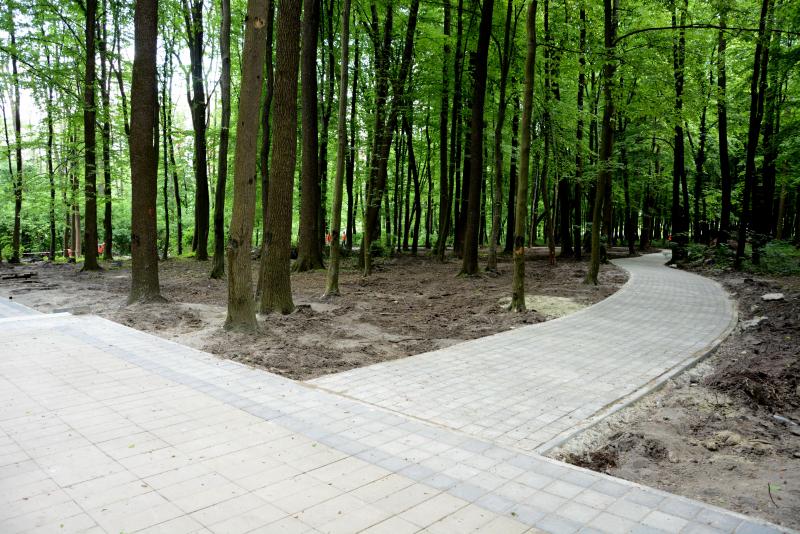 Фото 9: Підсумки 2017 року: Львів стає комфортнішим