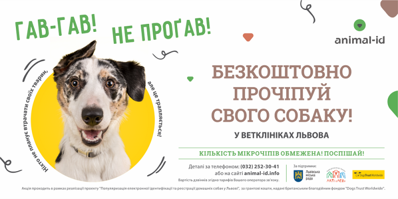 Фото 8: Центр адопції, гуманність та півтисячі щасливих тварин: 2017 рік досягнень ЛКП &laquo;Лев&raquo;