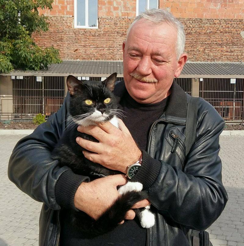 Фото 7: Центр адопції, гуманність та півтисячі щасливих тварин: 2017 рік досягнень ЛКП &laquo;Лев&raquo;