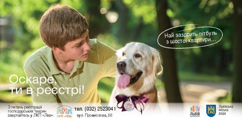 Фото 6: Центр адопції, гуманність та півтисячі щасливих тварин: 2017 рік досягнень ЛКП &laquo;Лев&raquo;