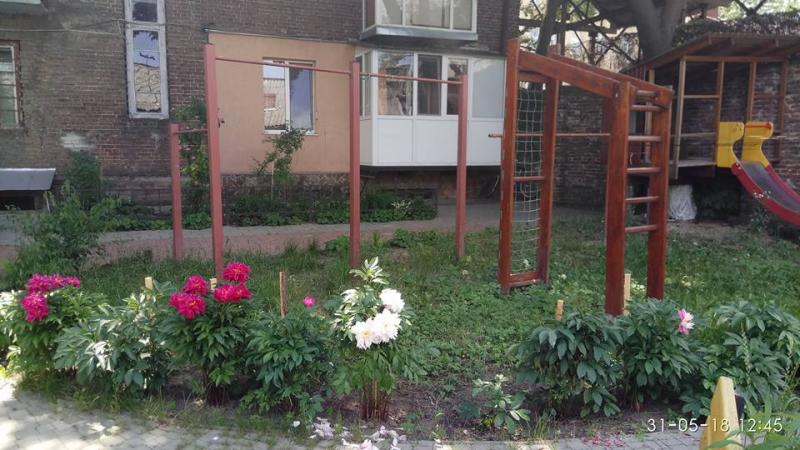 Фото 1: Міська рада оголошує конкурс на найгарніший дворик Львова