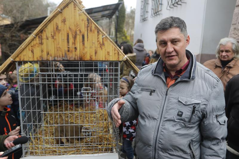 Фото 1: Бабачиха у&nbsp;міському еколого-натуралістичному центрі навіщувала ранню весну