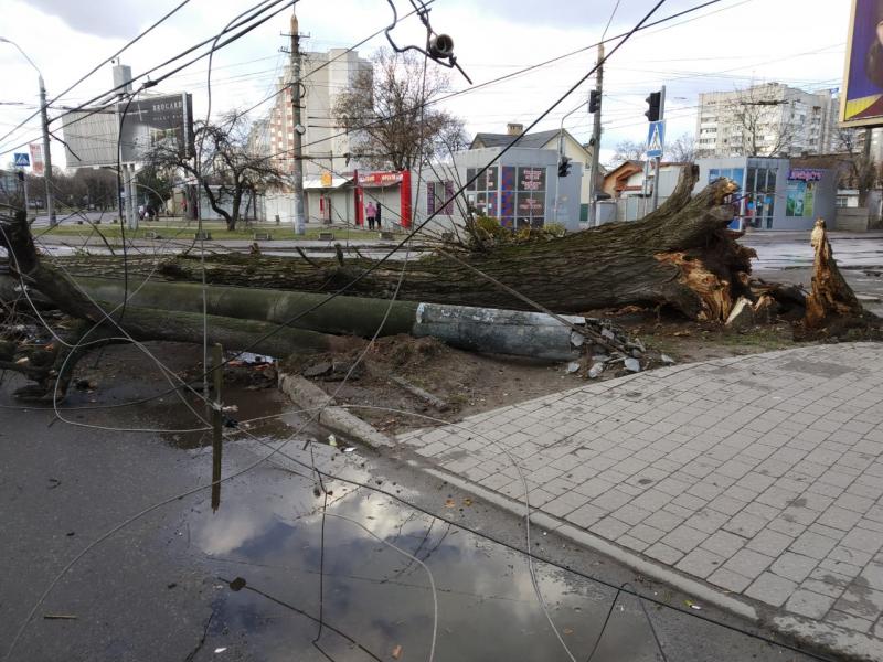 Фото 1: Для двірників у&nbsp;Львові оголошено робочий день&nbsp;&mdash; комунальники ліквідовують наслідки буревію