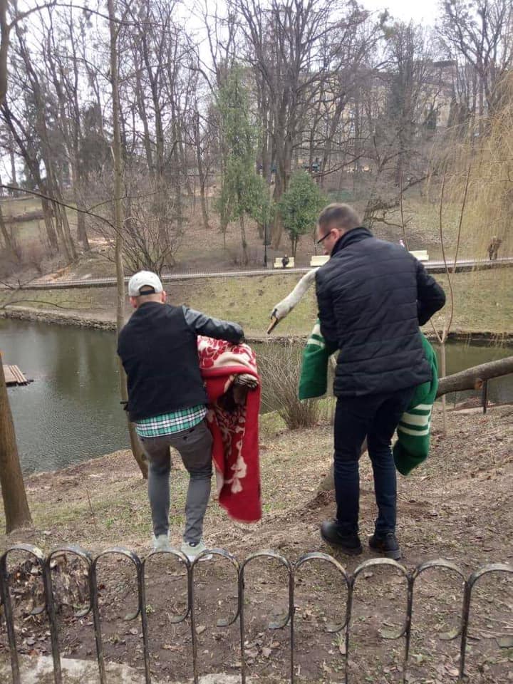 фото: Стрийський парк