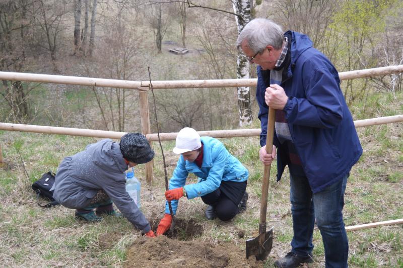 Фото 1: У&nbsp;Львові відновлювали Черешневий гай Климентія Шептицького