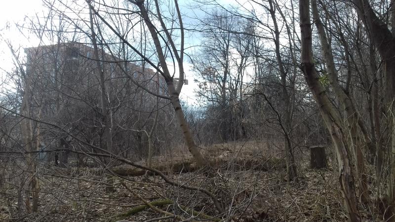 Фото 1: У&nbsp;Львові буде парк &laquo;Під Голоском&raquo;