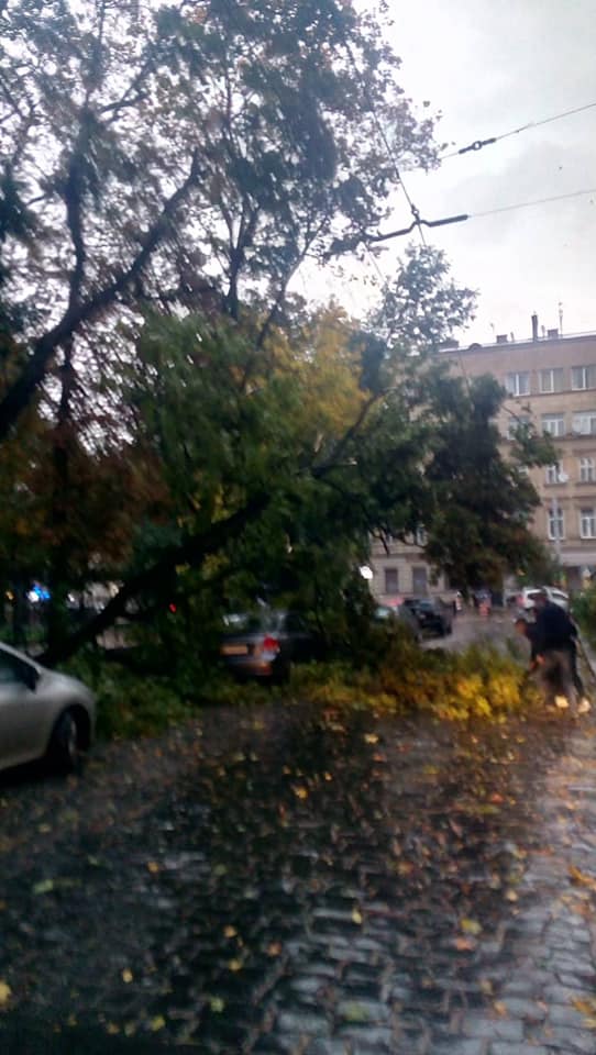 вул. Соломії Крушельницької, фото: Варта1