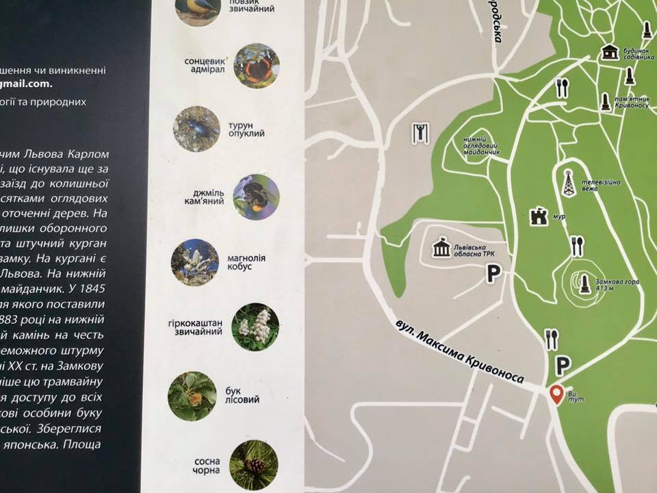 Фото 3: У&nbsp;парках Львова актуалізували таблички з&nbsp;картами