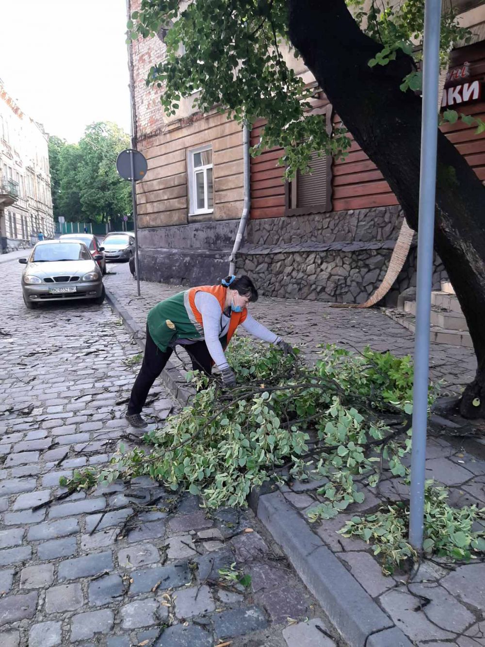 Фото 2: Через негоду у&nbsp;Львові повалено понад 150 дерев