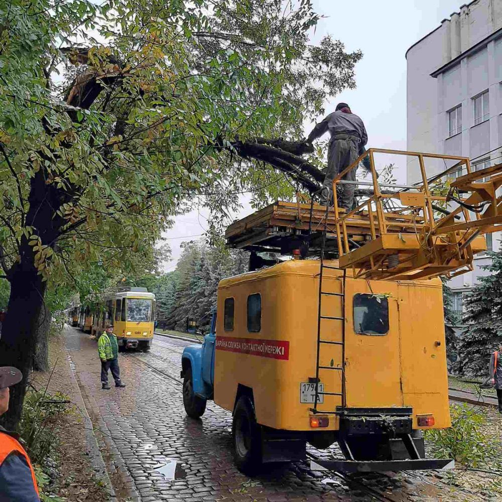 Фото 1: Трамваї №&thinsp;3, 4, 9 курсують за&nbsp;зміненими маршрутами: на&nbsp;контактну мережу на&nbsp;вул. Вітовського впало дерево