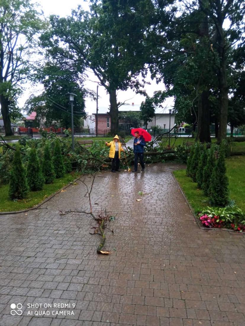 Фото 1: Через негоду в місті впало 3 дерева