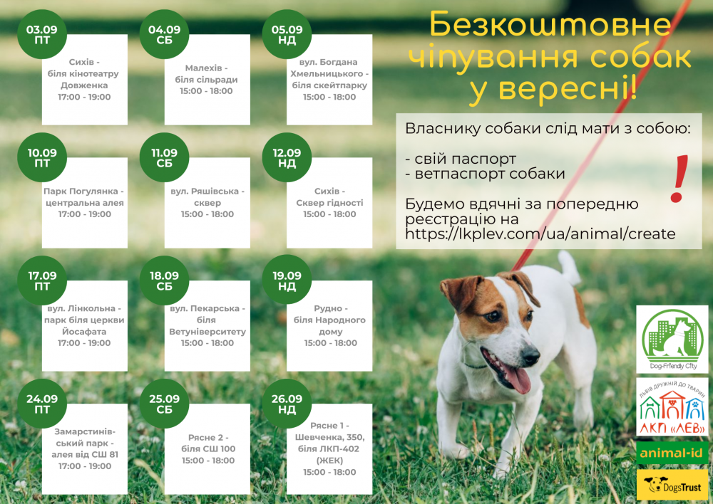 Фото 1: Цього місяця ЛКП &laquo;Лев&raquo; здійснить ще 6 акцій з виїзного чіпування собак: графік