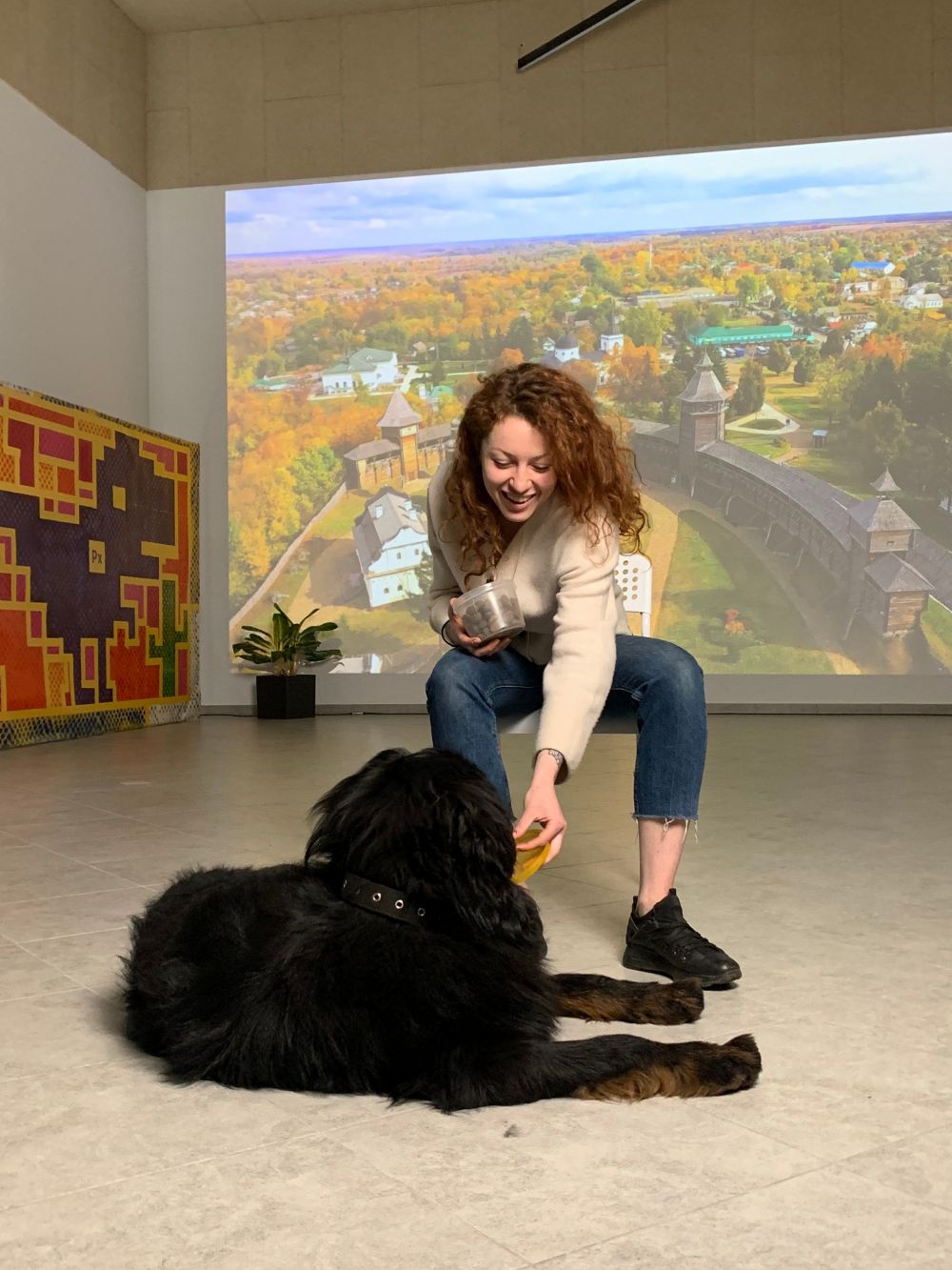Фото 1: У Pixlab з’явився новий чотирилапий працівник – переселенець із Харкова: історія порятунку Барні