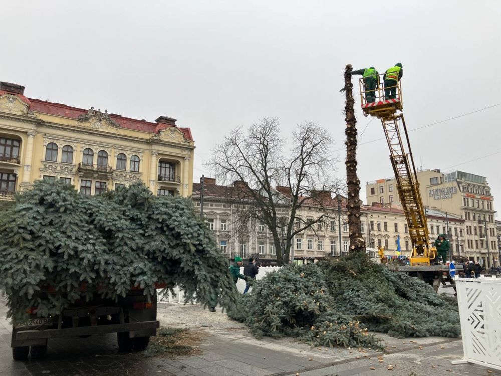 Фото 1: Головну ялинку Львова демонтували та відправили на утилізацію (відео)