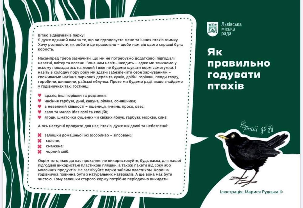 Фото 2: У міських парках та скверах для птахів встановлюють годівнички нового формату