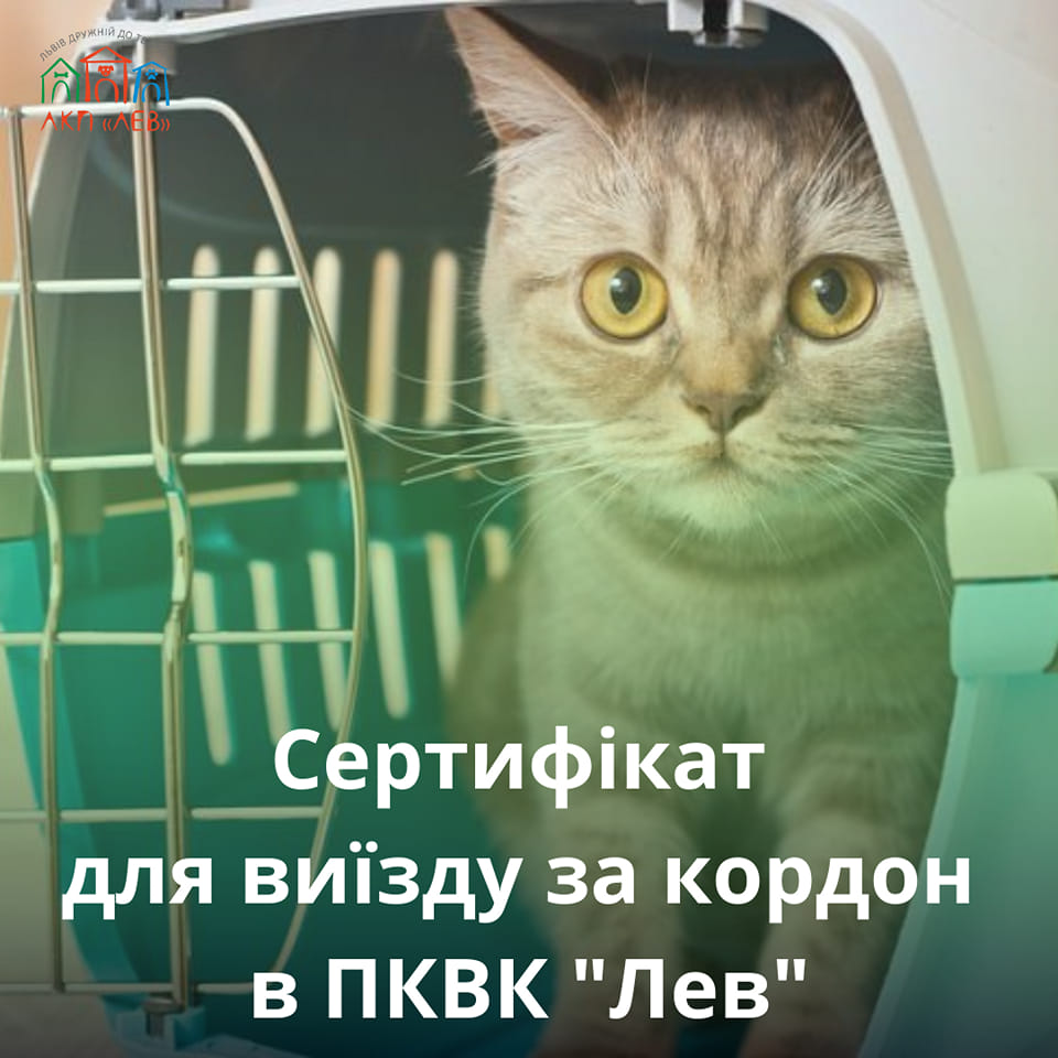 Фото 1: ЛКП «Лев» знову видає сертифікати для виїзду з тваринами закордон
