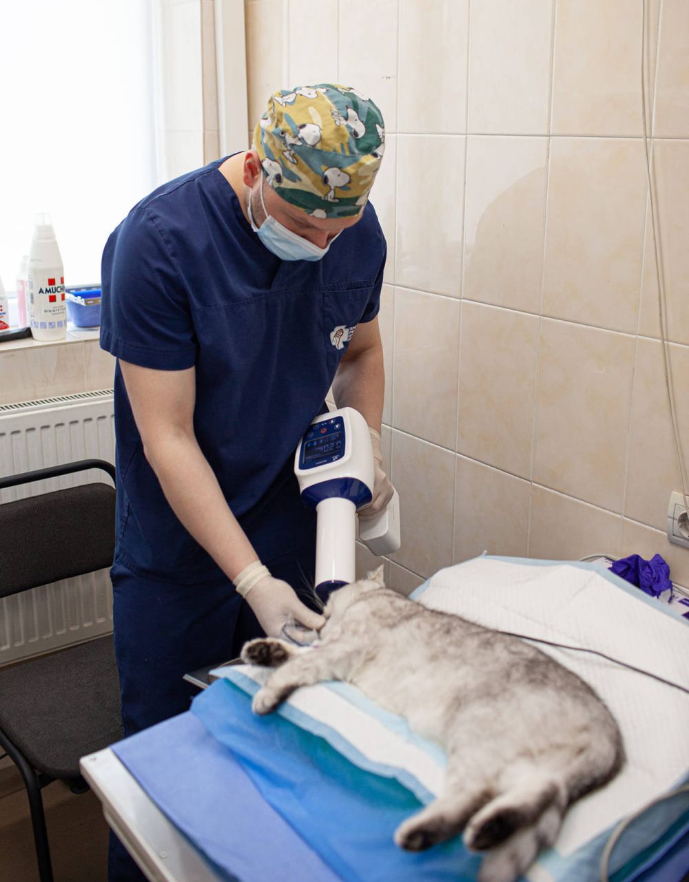 Фото 2: У Львові працює стоматолог для котів та собак