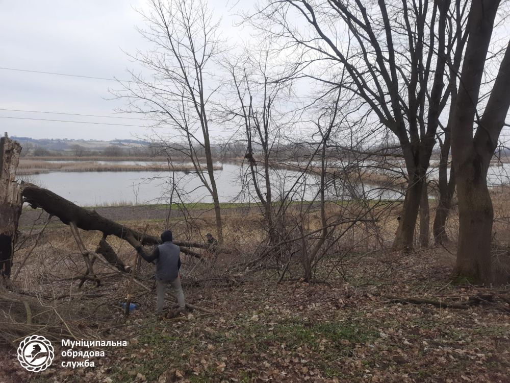 Фото 4: Міські служби разом з мешканцями прибрали старе кладовище у с. Малі Грибовичі