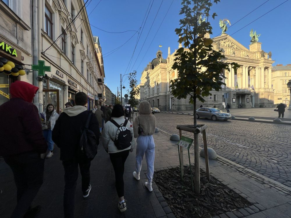 Фото 1: Рекламні щити замість дерев: висаджені на проспекті Свободи &laquo;кліматичні&raquo; дерева підприємці хочуть прибрати через суд
