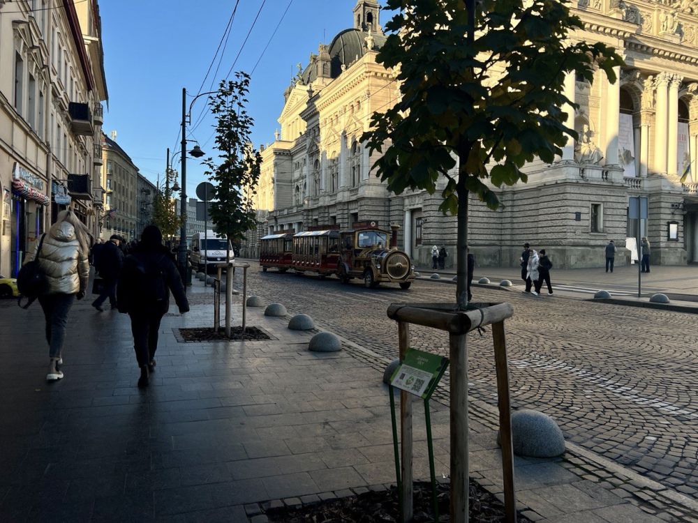 Фото 3: Рекламні щити замість дерев: висаджені на проспекті Свободи &laquo;кліматичні&raquo; дерева підприємці хочуть прибрати через суд