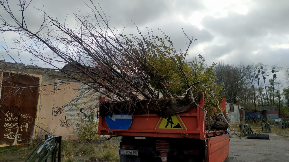 Фото 1: 48 дерев висадили на Цитаделі