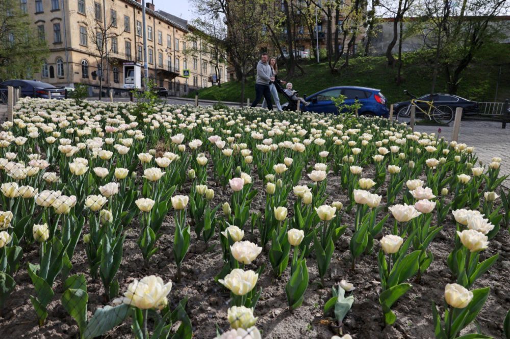 фото Романа Балука для Львівської міської ради