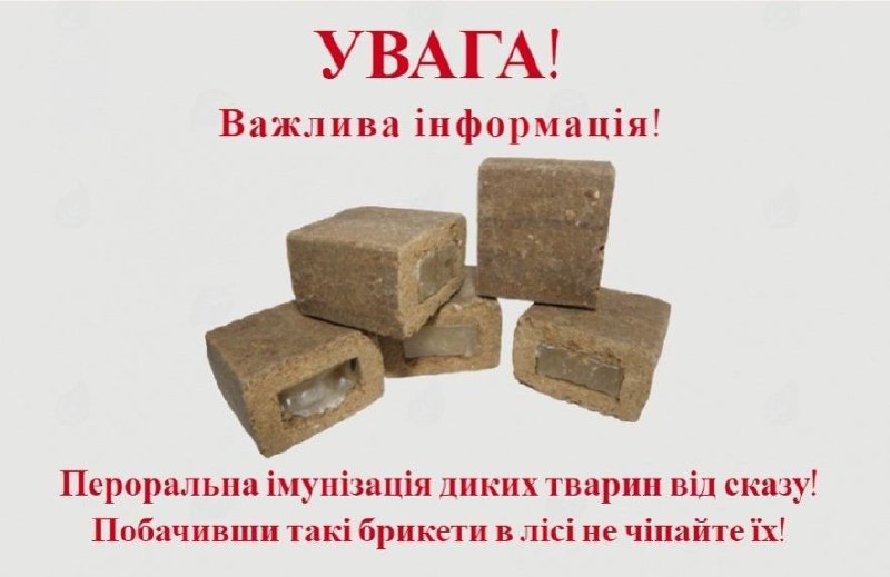 Фото 1: У Львівській громаді проведуть профілактику сказу для диких тварин
