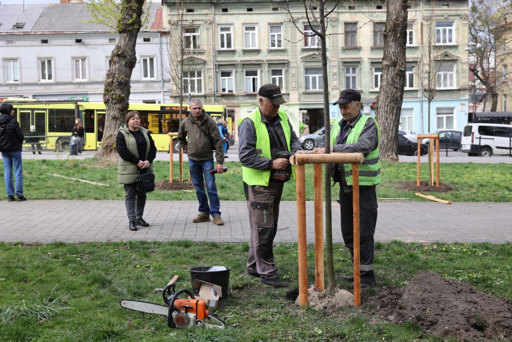 Фото 1: Львів&rsquo;яни подарували місту дерев та кущів на 1 млн 200 тис. грн (відео)