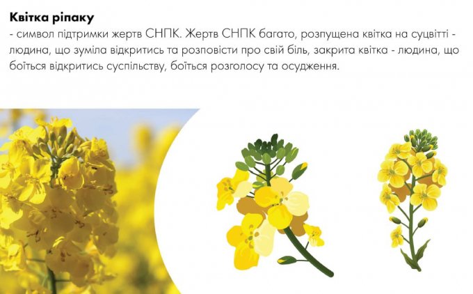 квітка ріпаку &ndash; символ підтримки