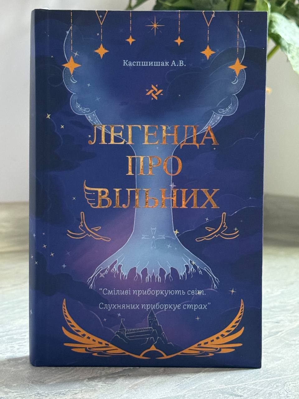 Фото 3: За підтримки міста ветеран заснував Майстерню історій &laquo;Мрієлов&raquo; і видав книжку
