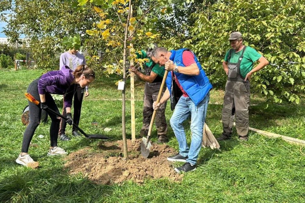 Фото 1: В одному з парків Львова висадили дерева до 240-річчя Мелітополя