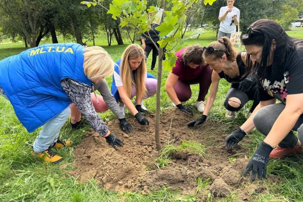 Фото 2: В одному з парків Львова висадили дерева до 240-річчя Мелітополя