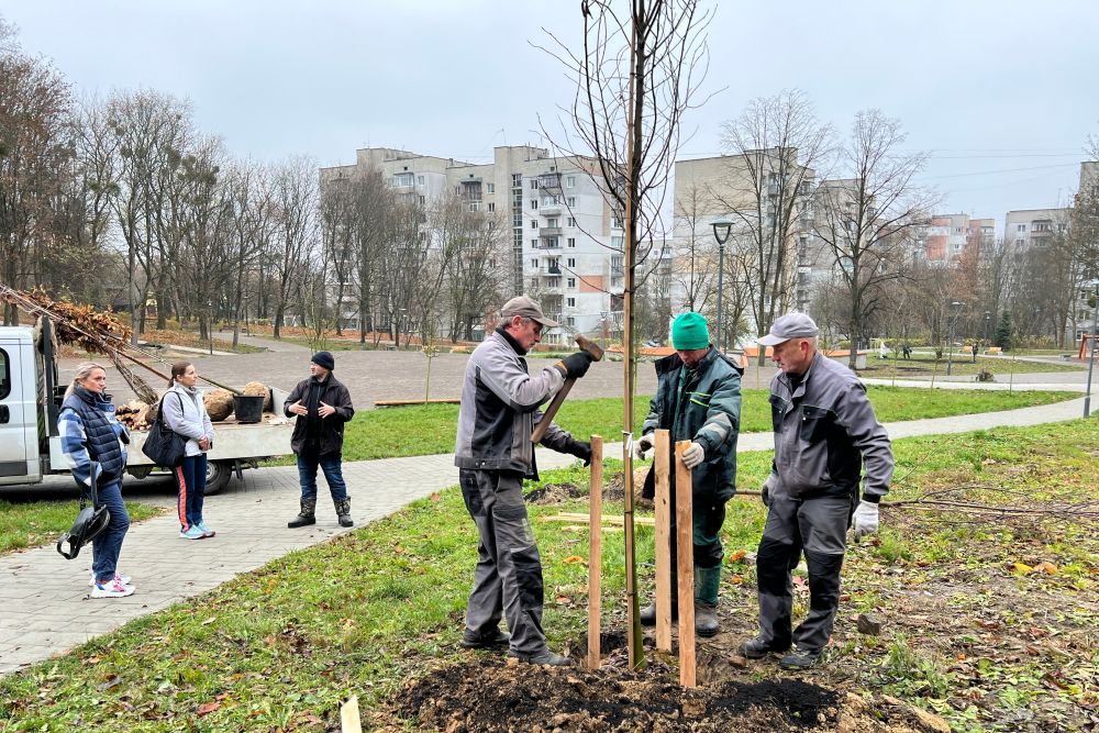Фото 3: Сім&rsquo;я захисника подарувала Львову вже третє дерево: в Замарстинівському парку висадили дерева в межах осінньої акції (відео)