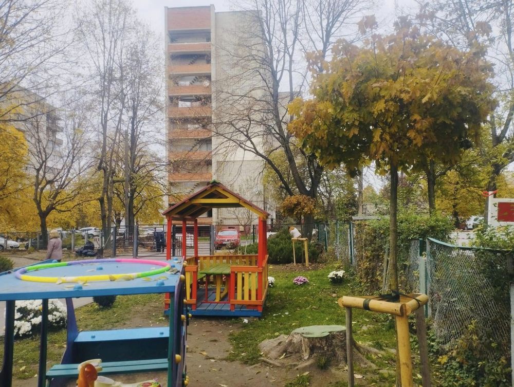 Фото 2: У шести школах та дитсадках Львова висадили дерева і кущі