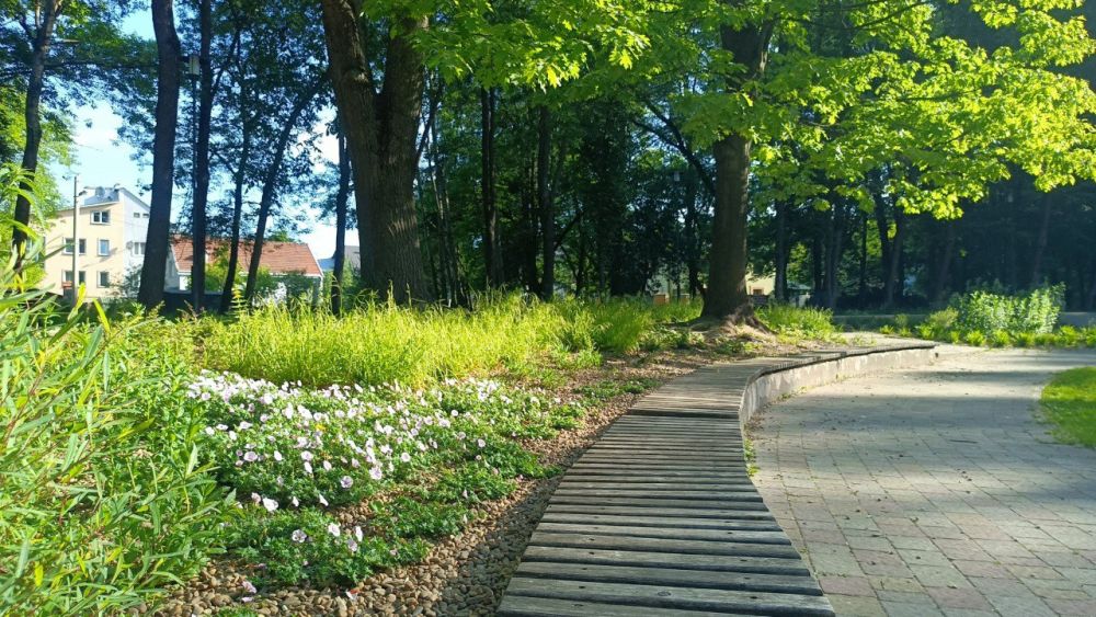 фото з Фейсбук-сторінки https://www.facebook.com/lvivmistobud