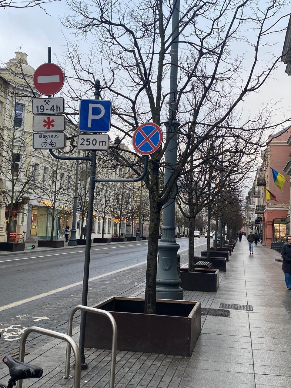 так виглядає огородження дерев у Вільнюсі
