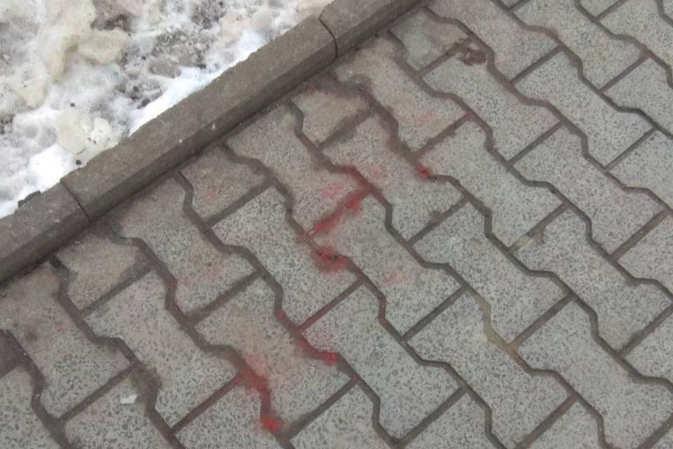 Фото 1: Небезпечна отрута на вулицях міста: як вберегти свого улюбленця та куди звертатися?