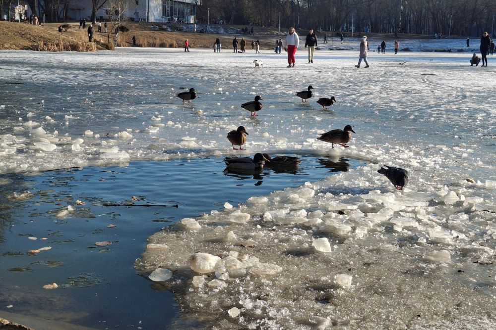 Фото 1: Львів&rsquo;ян застерігають не виходити на кригу міських водойм