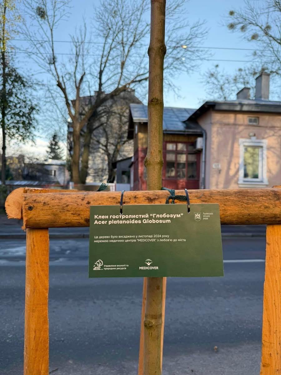 Фото 8: Яким був 2024 рік для Франківського району: адміністрація прозвітувала про виконану роботу