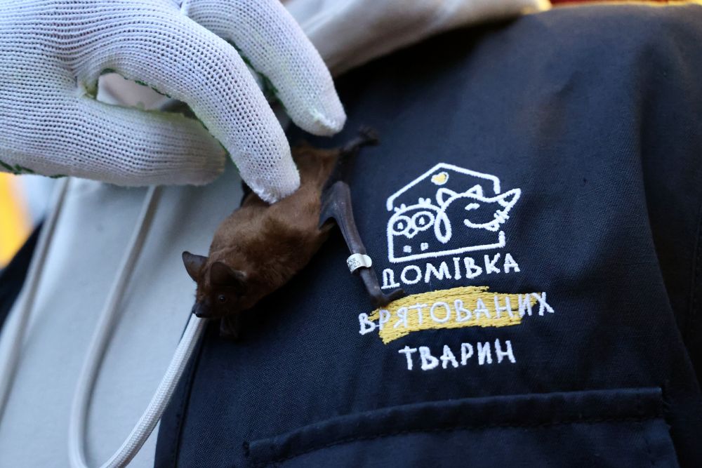 фото Романа Балука для Львівської міської ради