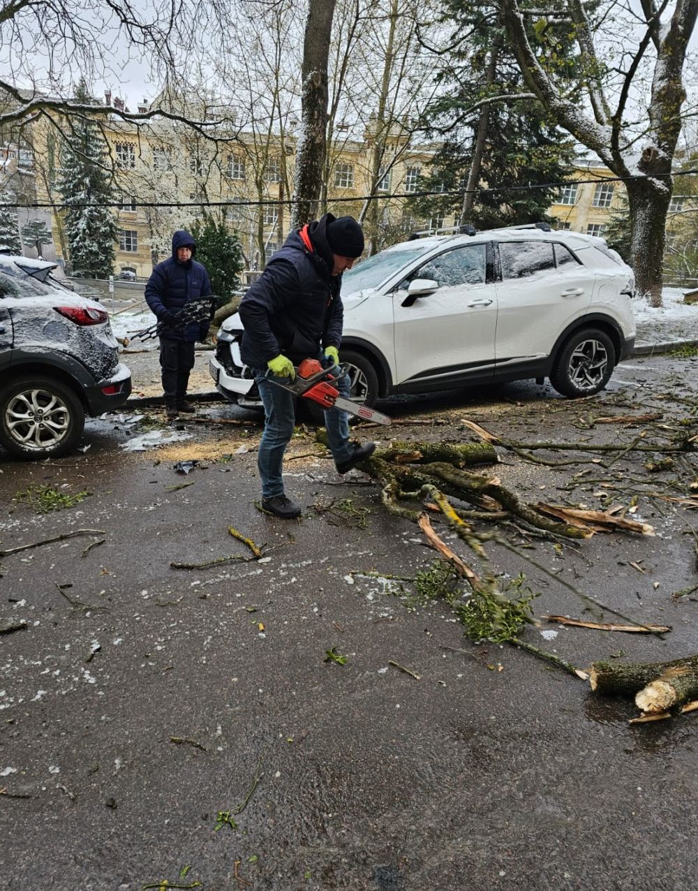 Фото 1: Комунальники ліквідували наслідки падіння гілки дерева на Свенціцького