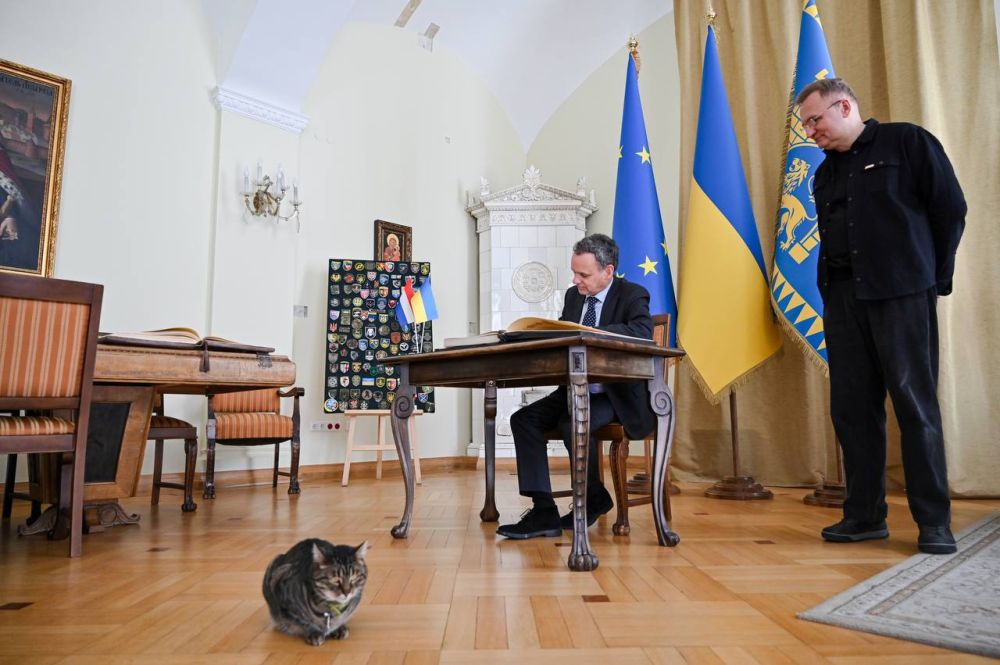 фото Анастасії Смольєнко для Львівської міської ради 