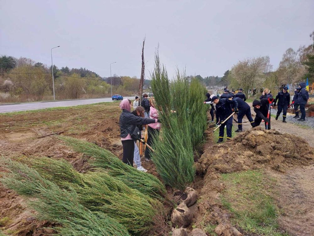 Фото 1: У Львівській громаді прибрали майже 50 га території та висадили понад 800 рослин