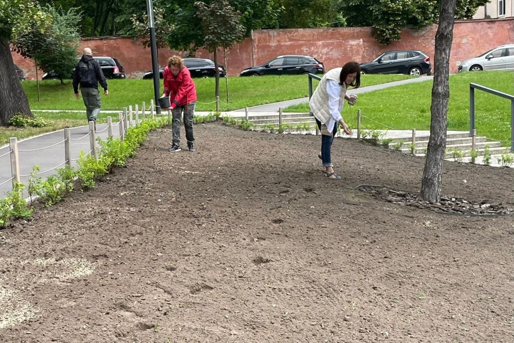 Фото 1: У Парку пам&rsquo;яті квітне різнотрав&rsquo;я: львів&rsquo;ян та гостей міста заохочують відвідати локацію
